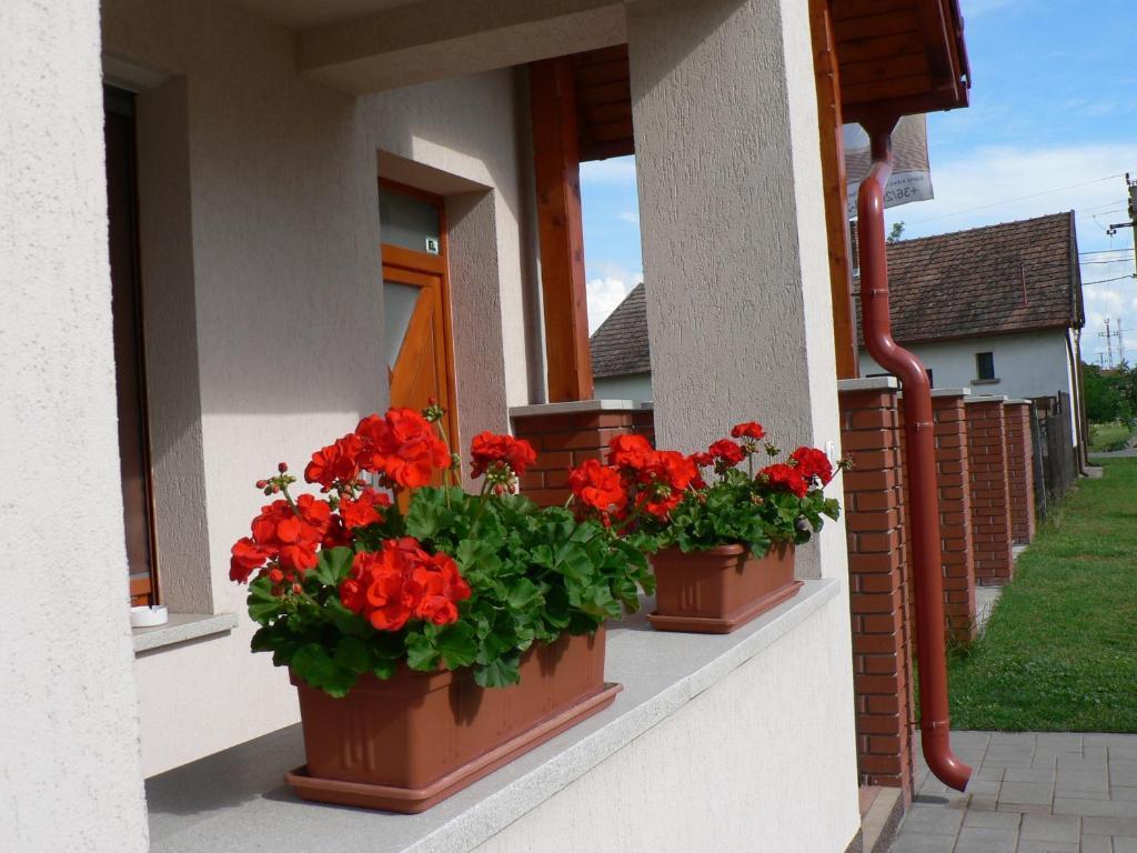 Oazis Apartmanok Mórahalom エクステリア 写真